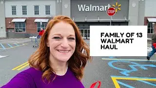 FAMILY OF 13 WALMART HAUL