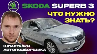 Шпаргалка по проверке Skoda Superb 3 // Что нужно знать
