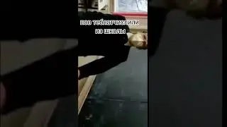Когда тебя выгнали из шк 😆 #shorts