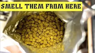 Amarillo Pale Ale ~ Fullish Brew Day