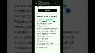 domain details check