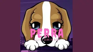 Perra