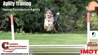 Foundation Agility Training - Henry