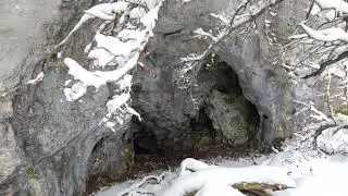 Tracking a Mountain Lion to its Den - A hidden cave