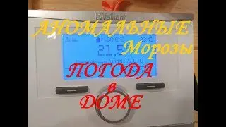 Аномальные морозы. Погода в доме
