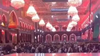 19 Ramadan Mola Ali (A. S) Zarb e Shab Karbala ||WhatsApp Status #2020