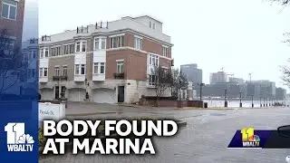 Man's body found in marina bathroom
