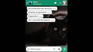 Appena in tempo.
