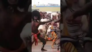 tiger dance  #kudla #public #viral #foryou #explore #flp #like #trendingshorts