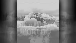 Solstice - If These Trees Could Talk