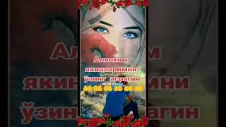 kimga yuborishni bilasiz