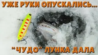 Я НЕ ВЕРИЛ, ЧТО ЭТО ПРОИСХОДИТ СО МНОЙ...4 СУДАКА С ОДНОЙ ЛУНКИ