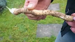 Дача в радость или наоборот?! 😱😅🫣