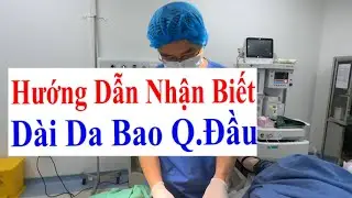Hướng Dẫn Cách Nhận Biết Bệnh Lý Dài Da Bao Quy Đầu - Bs Sắc nam học Bv Việt Đức