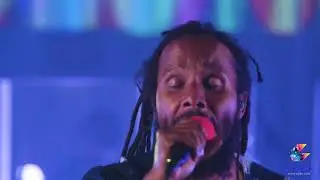 Ziggy Marley - World Revolution | 2020 Live Stream