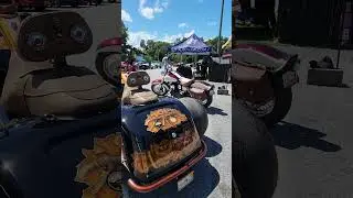 Wild Trike build