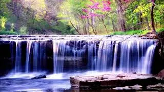 1 Hour of Meditation, water and Birds for Relaxation, Stress Relief, Meditation, Sleep, Study.