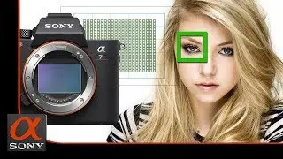 نظرة سريعة لنظام الفوكس الخاص بكاميرا سوني SONY a7R III