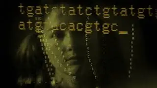 Syntheme 27: Helicabingo