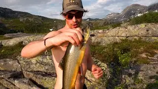 RØYE-REKORD i RAGO NASJONALPARK!
