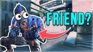 WILL YOU BE MY FRIEND?