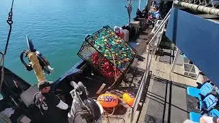 Bering Sea Crab Fisherman's Tour (King Crab demo)
