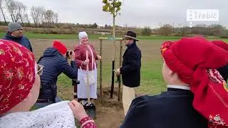 Sportovní okruh lemují další lípy