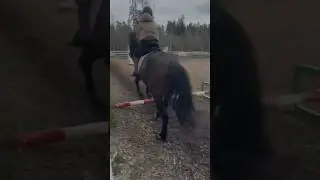 Сегодня ездила смотреть лошадь зовут пух я его возможно куплю она мне очень понравилась)