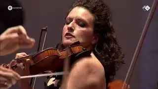 Beethoven Violin concerto Larghetto, Liza Ferschtman violin