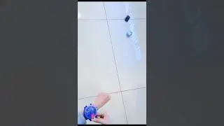 MANILLA CARRO
