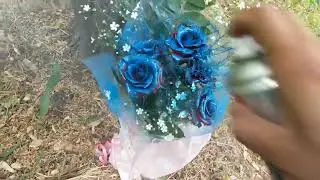 Как быстро сделать синие розы)))