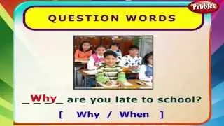 Question Words | English Grammar Exercises For Kids | English Grammar For Children