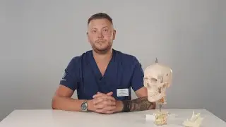Преимущество коронки за 1 день