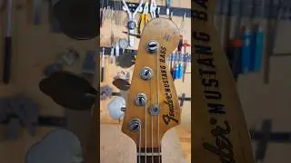 1973 Fender Mustang Bass on the bench for electronic work #luthiery #guitarrepair #luthier