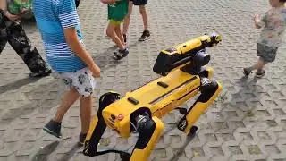 Exhibitions. Boston Dynamics robot dog in action