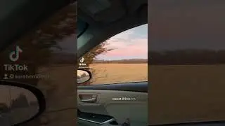 Untitled video