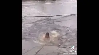 Танци на льду