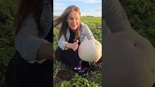 Что это такое😳?