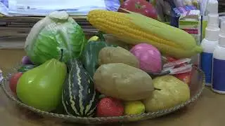 «Школа диабета» в Северодвинске#Беломорканал