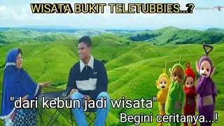 GAK..NYANGKA KEBUN JADI TEMPAT WISATA BUKIT TELETUBBIES KANDIS MERANGIN JAMBI
