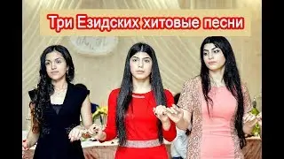 #Езидская DAWATA Три Езидских песни  хиты VIP НН