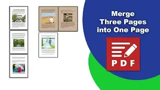 How to convert 3 pages into a single page inside a PDF file in PDF-XChange Editor