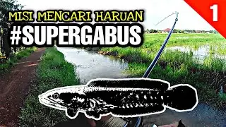 Siri 1 | Misi Mencari Supergabus  | Casting Haruan Sawah