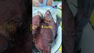 всего по немногу