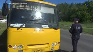 Сотрудники ГИБДД проверили пассажирский транспорт на дорогах Лесного, какие нарушения обнаружили?