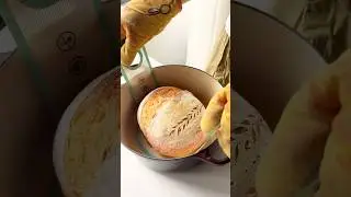 Dutch oven bread 