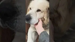 Обаятельный и привлекательный 