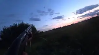 Охота на утку с манком