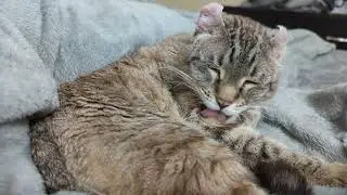 bedtime or bath time?