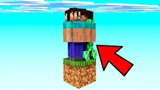 Invité a 100 FANS a un servidor TROLL de Minecraft 😂 100 FANS VS 1 BLOQUE INVICTOR